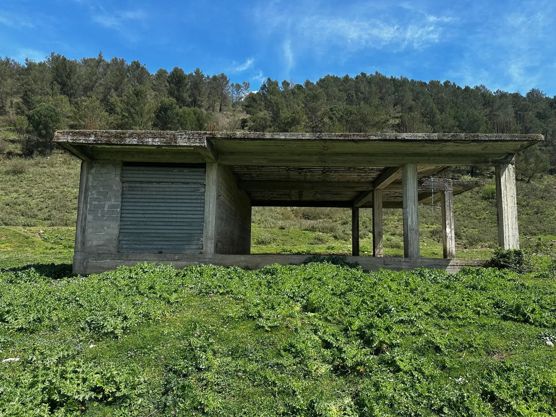 Magazinë / Depo • 125m2