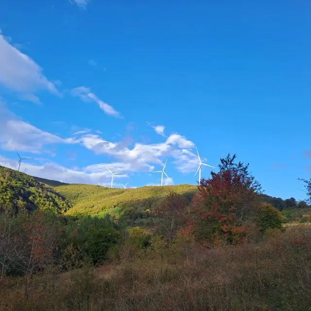 Mountain / Recreational • 36ar